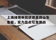 IMdianjing-上海绿地申花逆袭赢得山东鲁能，实力出众引发激战