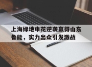 IMdianjing-上海绿地申花逆袭赢得山东鲁能，实力出众引发激战