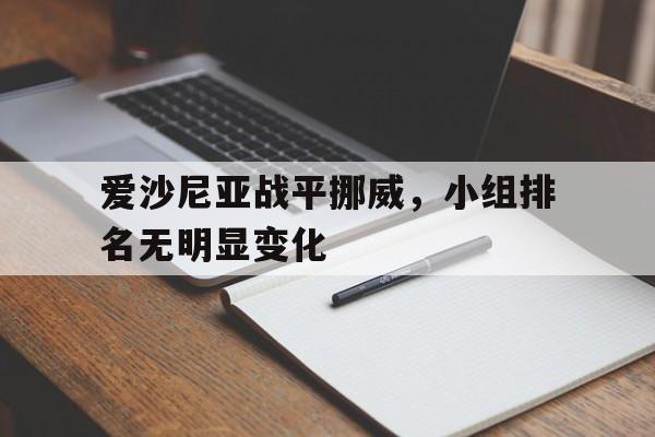 爱沙尼亚战平挪威，小组排名无明显变化